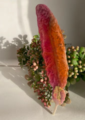 Bookmark